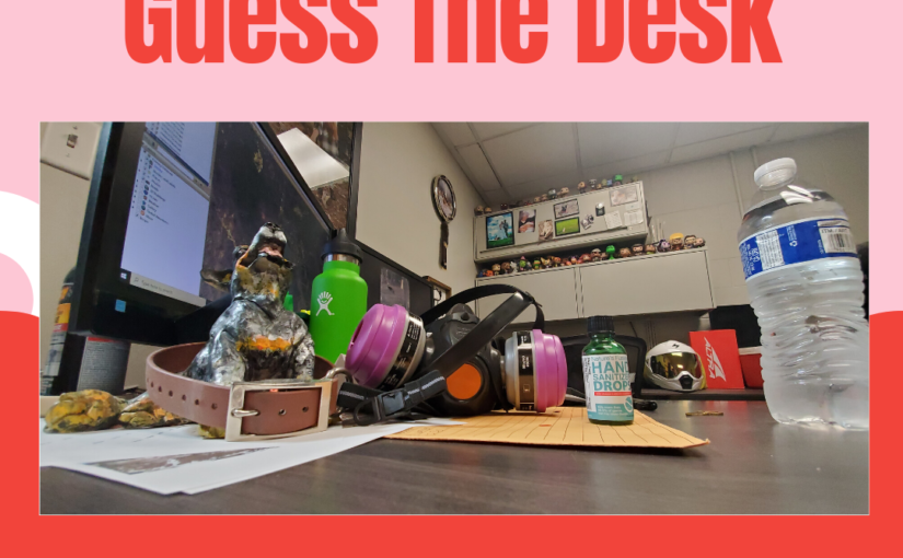 Employee Contest: Guess the Desk
